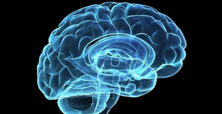 COVID-19: investigadores de Coimbra estudam mecanismos cerebrais em doentes graves