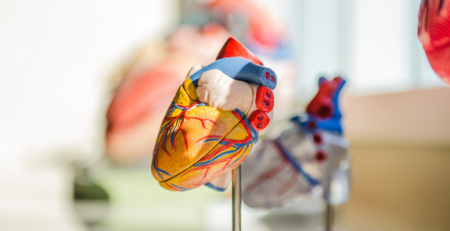 Estudo indica que monitorização contínua do ritmo cardíaco não previne AVC